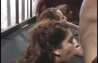 XXX ウェブカメラファラオの娘 女性 が 見る エッチ ビデオ