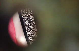 XXX ブルネットと大きな黒コック 女性 が 見る エロ 動画