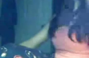 XXX 猫オリエンタル子猫 女性 向け 動画 セックス