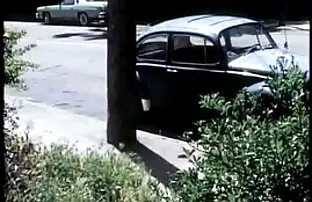 XXX 甘いアジアの跳躍のバス 女性 の ため の エロ 動画 無料