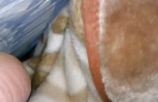 XXX ブルーエンジェルとAdrienneなめ膣それぞれ 女性 専用 エッチ 無料 動画